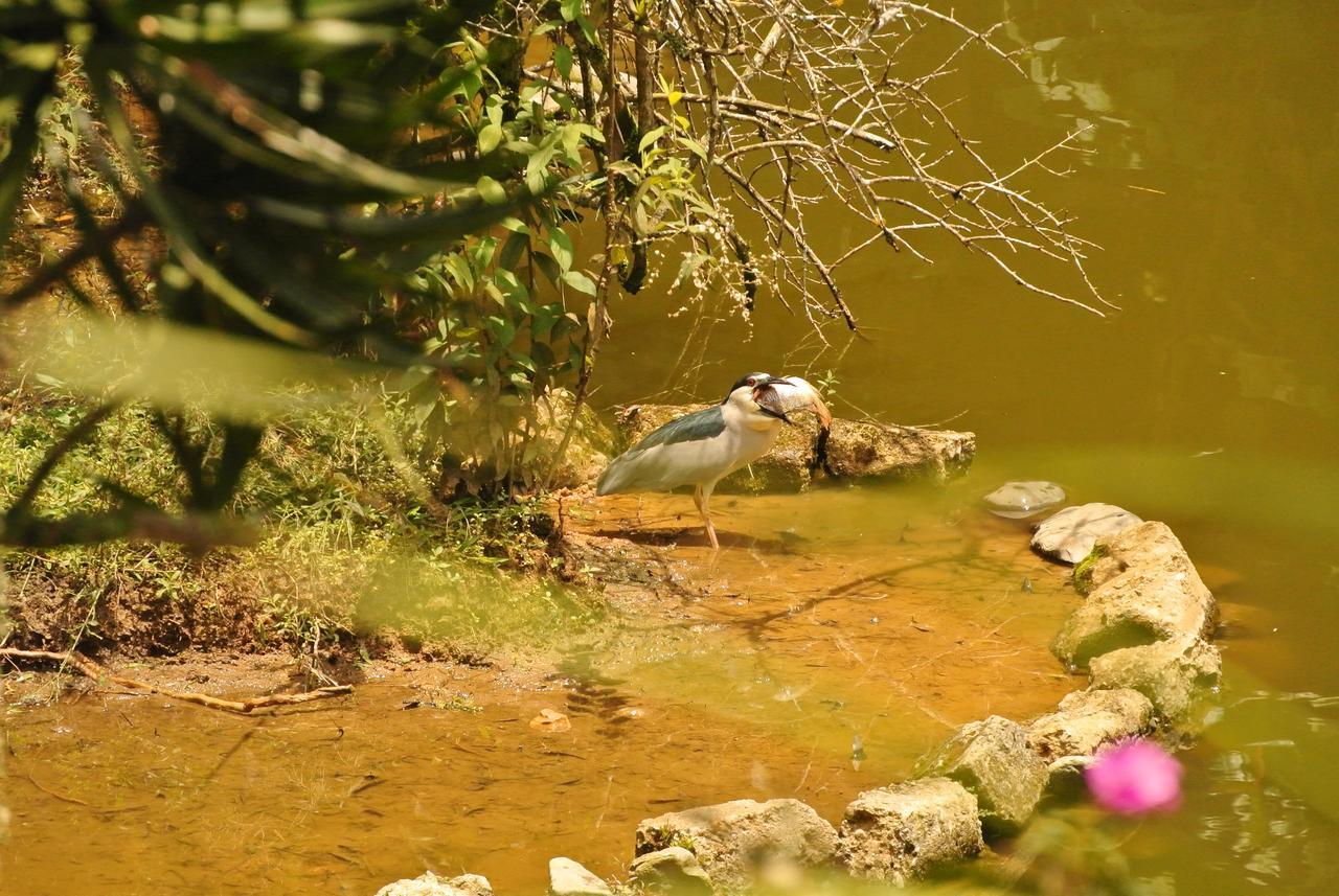 Eco Hotel Los Lagos Marsella  Bagian luar foto