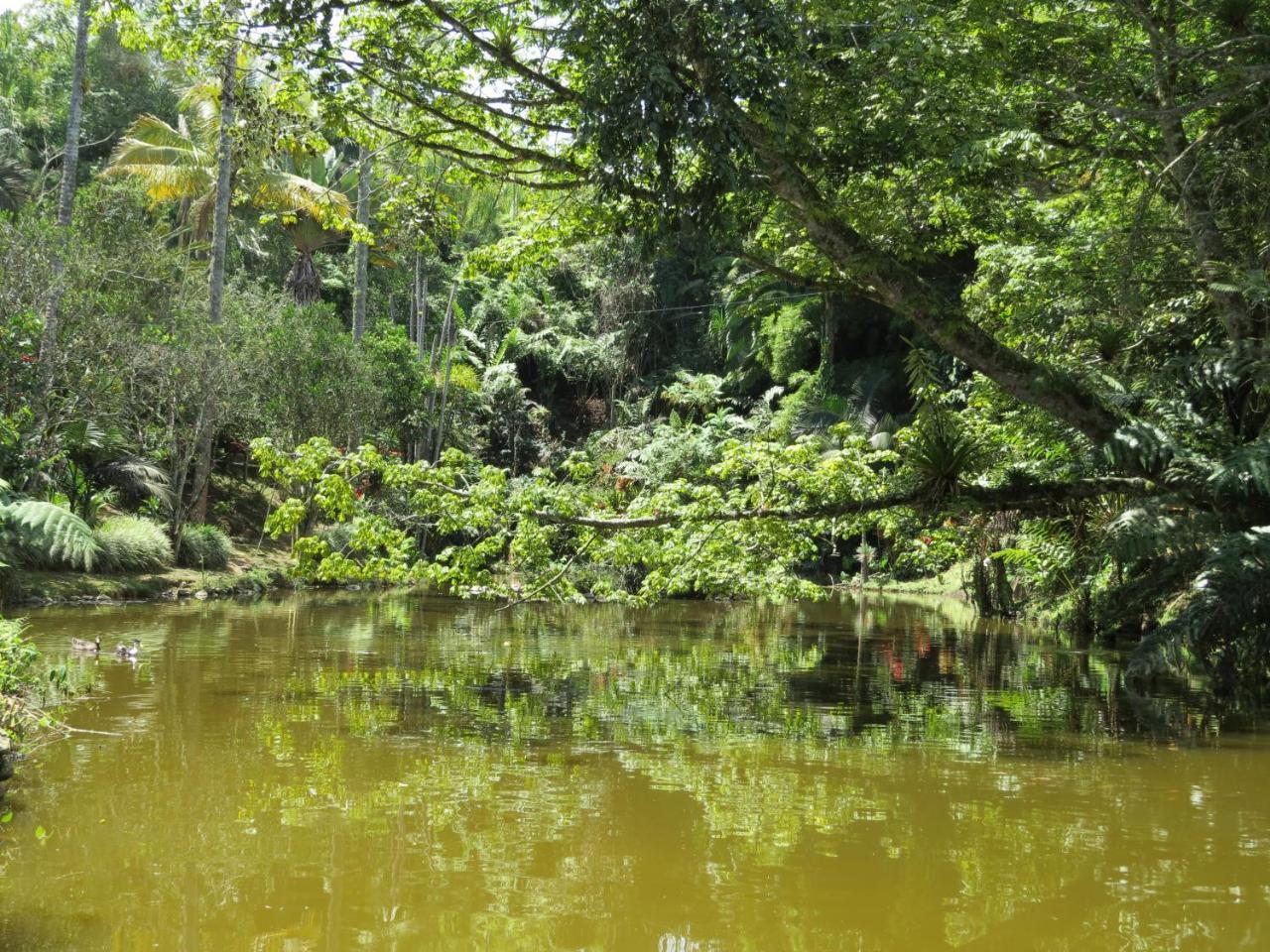 Eco Hotel Los Lagos Marsella  Bagian luar foto